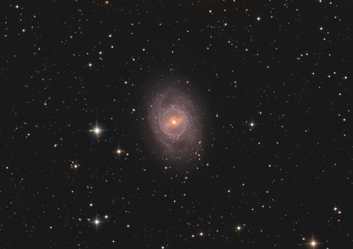 M 95